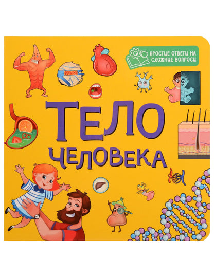 Тело человека
