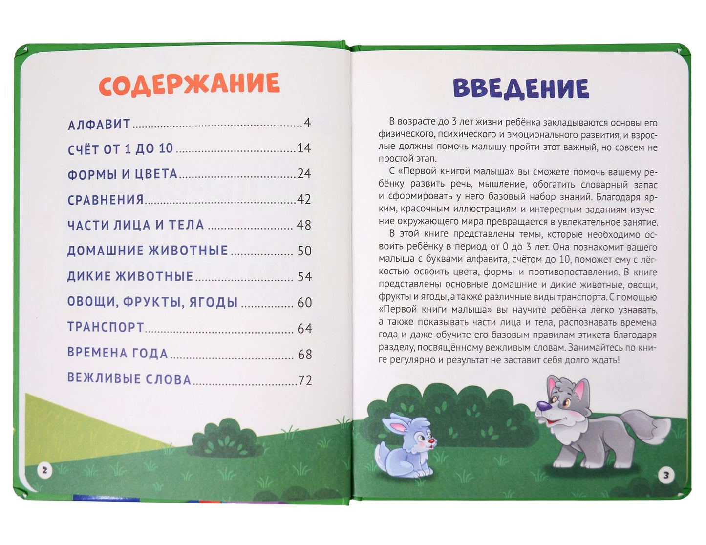 Анна Купырина: Первая книга малыша
