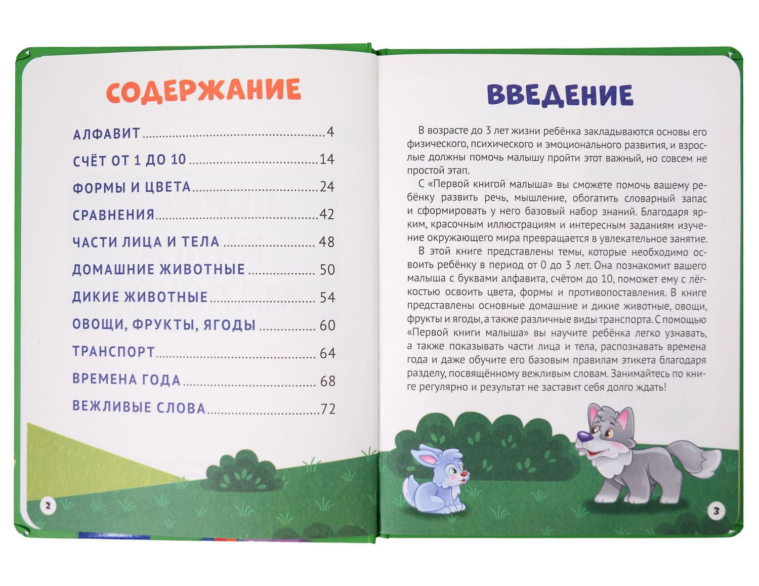 Анна Купырина: Первая книга малыша