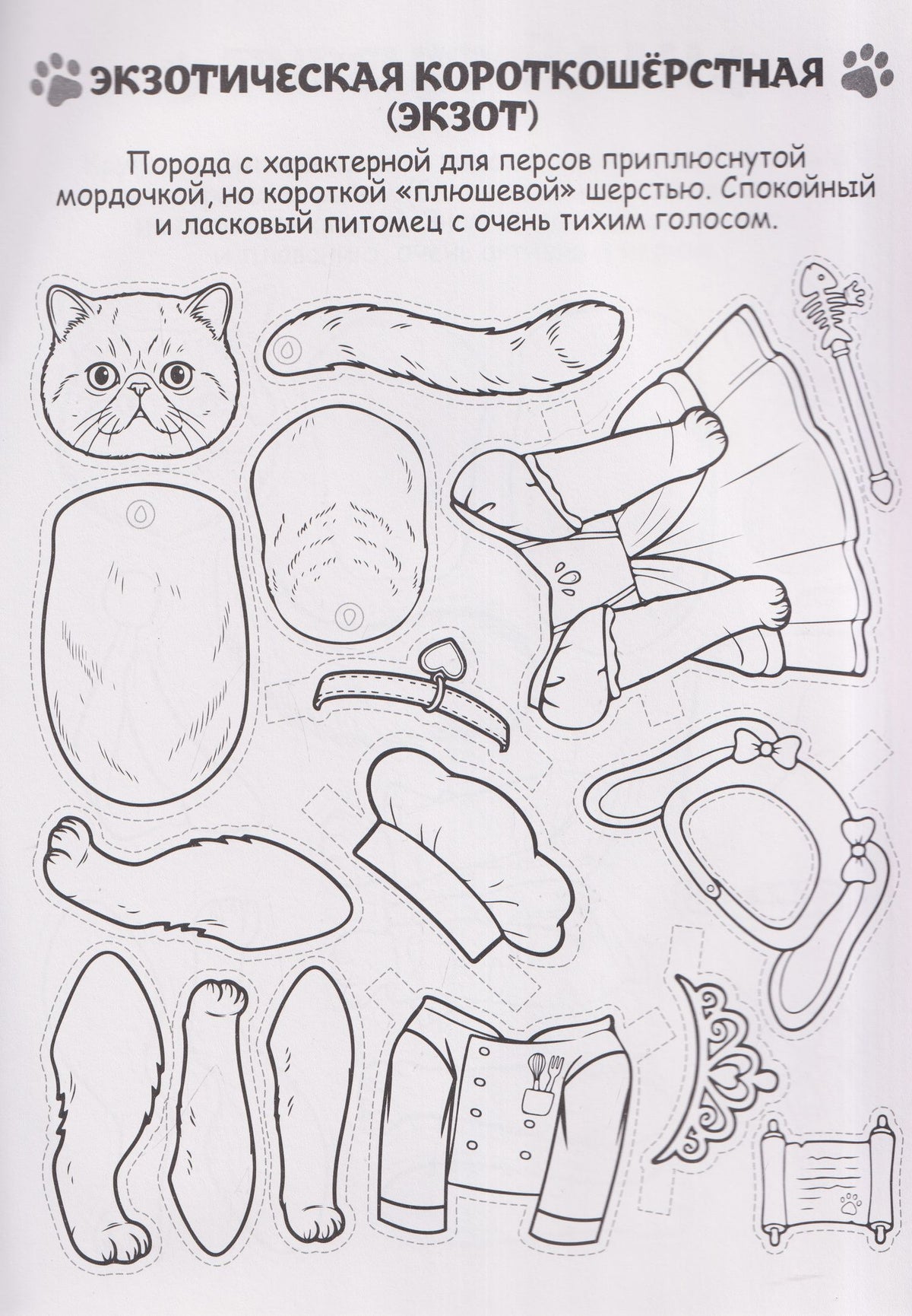 Кошки из бумаги в милых костюмах