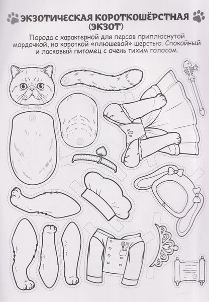 Кошки из бумаги в милых костюмах