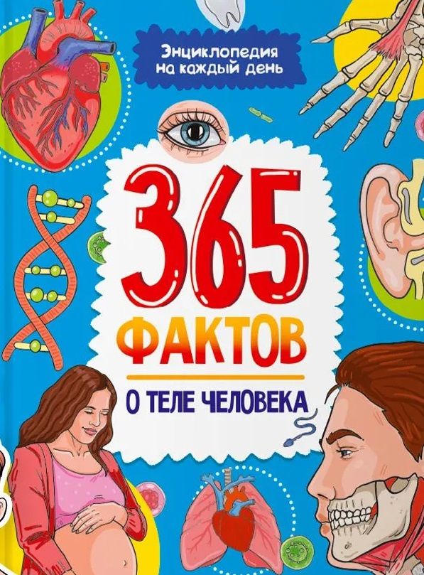 Олег Лунев-Коробский: Энциклопедия на каждый день. 365 фактов о теле человека