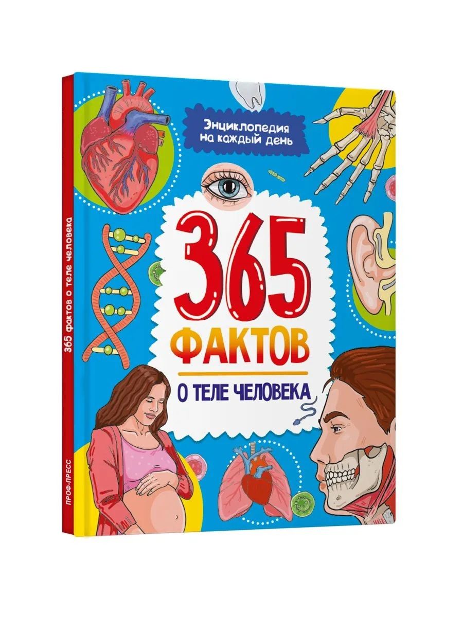 Олег Лунев-Коробский: Энциклопедия на каждый день. 365 фактов о теле человека