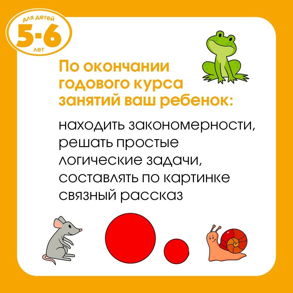 Ольга Земцова: Грамотейка. Интеллектуальное развитие детей 5-6 лет