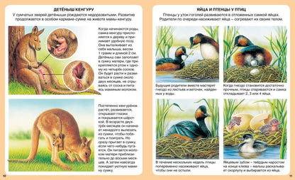 Мари-Рене Гийоре: Загадки природы
