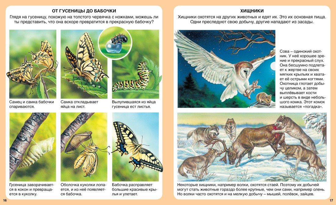 Мари-Рене Гийоре: Загадки природы