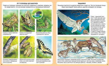 Мари-Рене Гийоре: Загадки природы