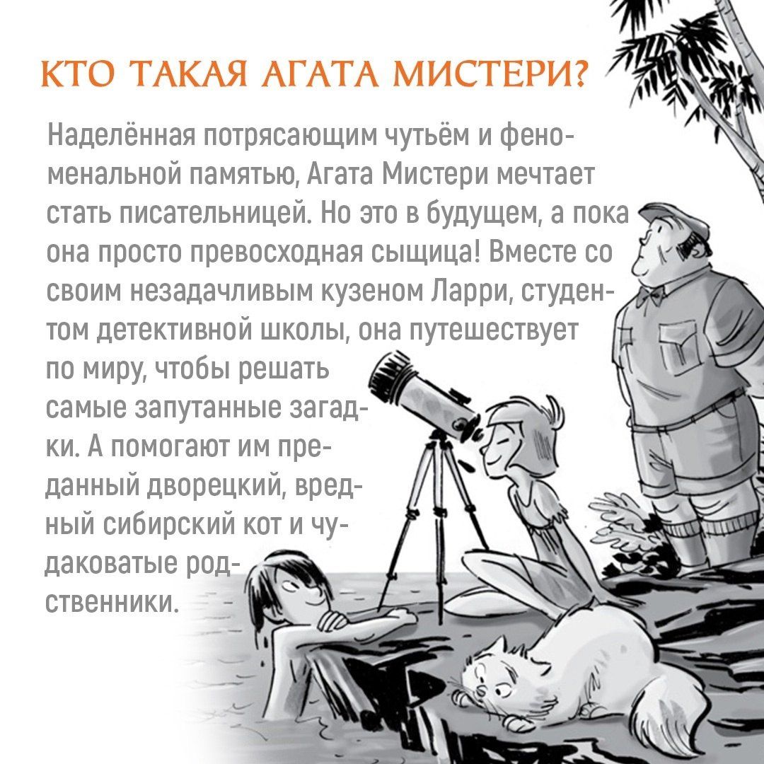 Стив Стивенсон: Агата Мистери. Кн.4. Кража на Ниагарском водопаде