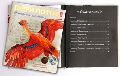 Джоан Роулинг: Гарри Поттер. История волшебства