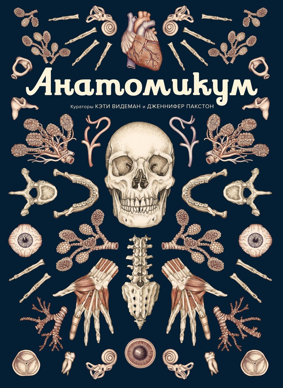 Дженнифер Пакстон: Анатомикум