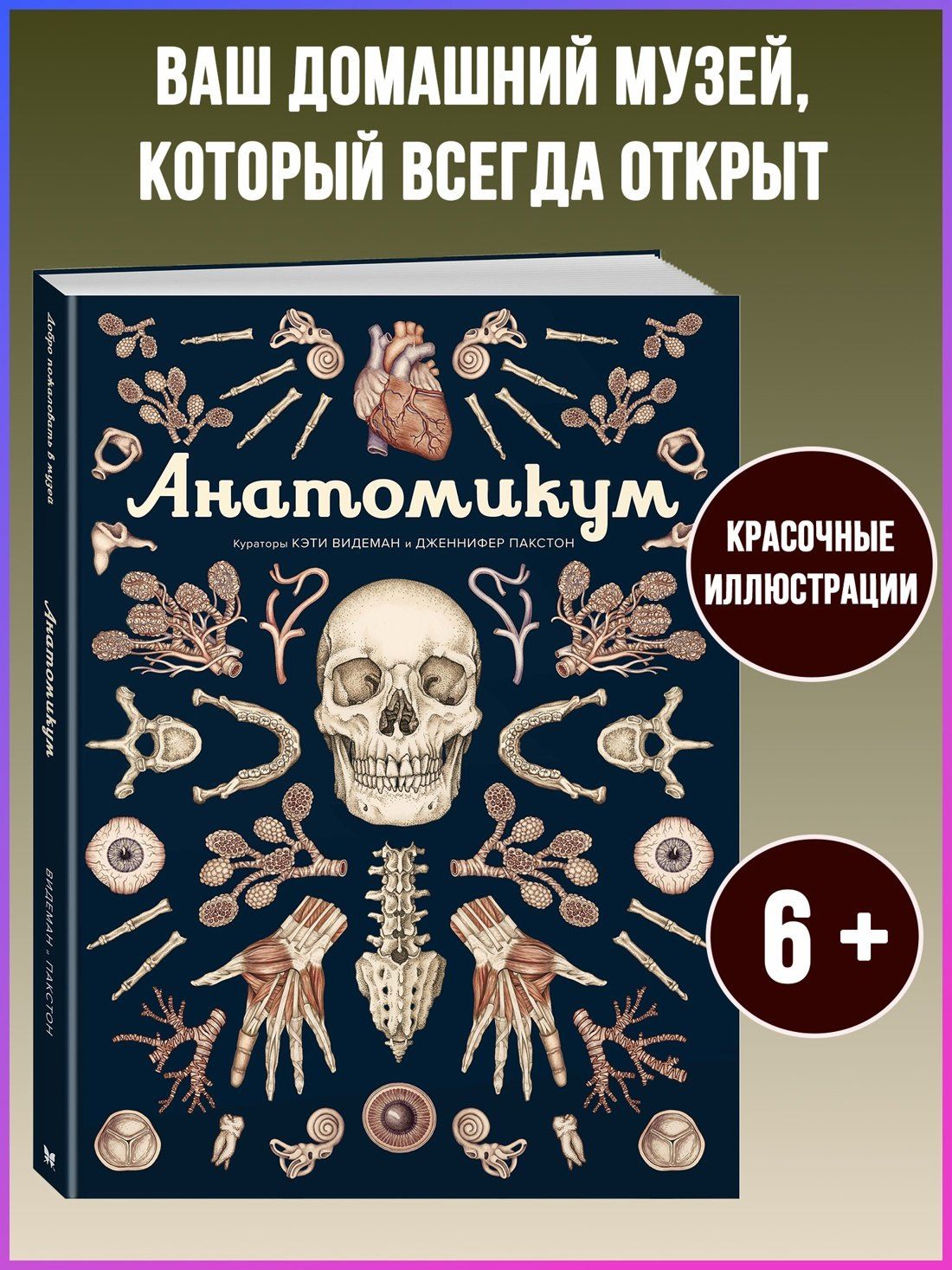 Дженнифер Пакстон: Анатомикум