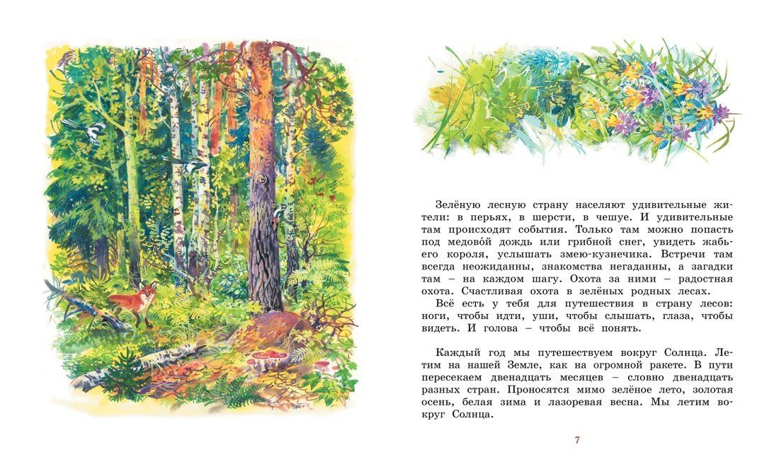 Николай Сладков: Лесные тайнички