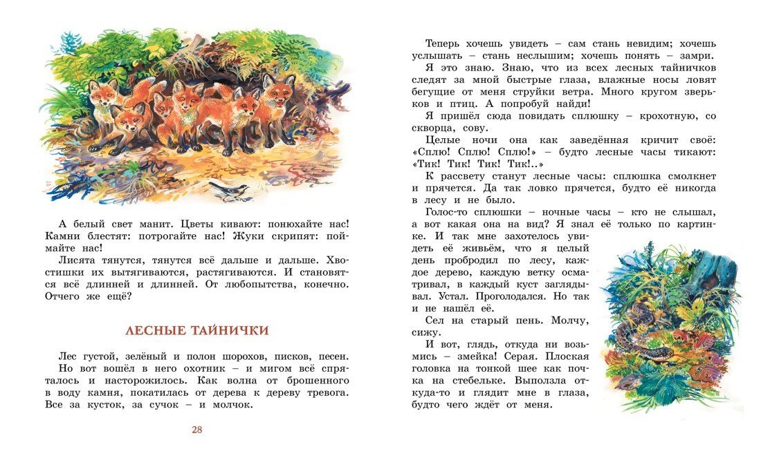 Николай Сладков: Лесные тайнички