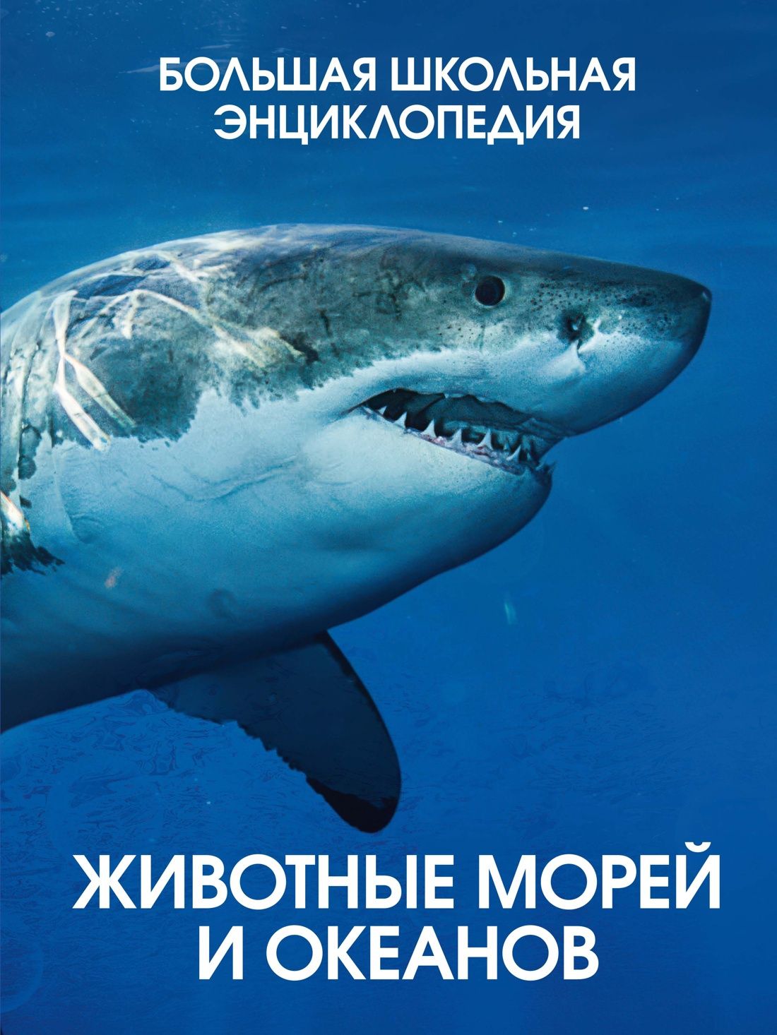 Кристин Балле: Животные морей и океанов. Большая школьная энциклопедия