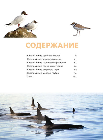 Кристин Балле: Животные морей и океанов. Большая школьная энциклопедия