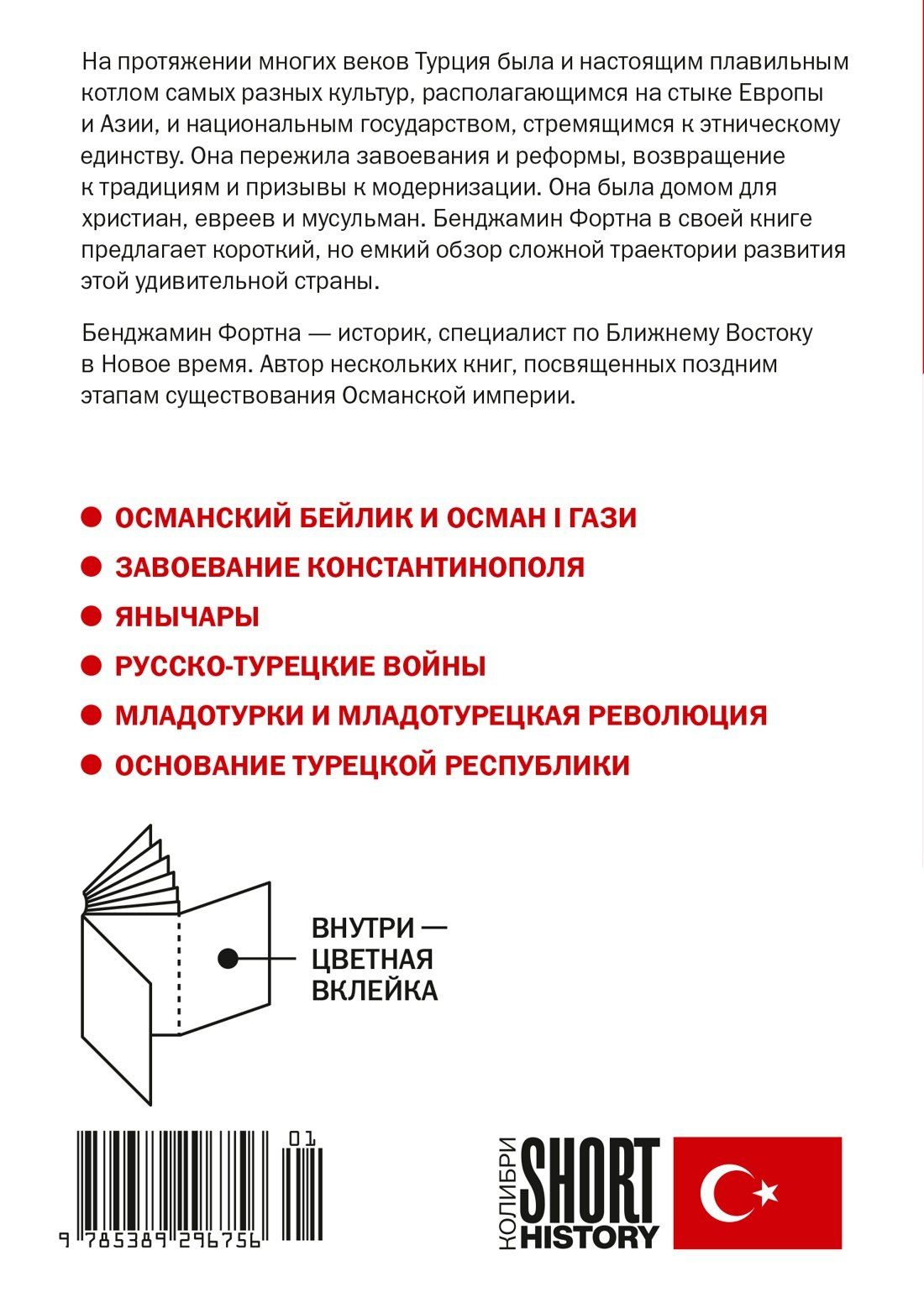Бенджамин Фортна: Краткая история Турции