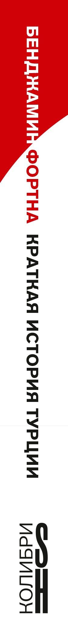 Бенджамин Фортна: Краткая история Турции