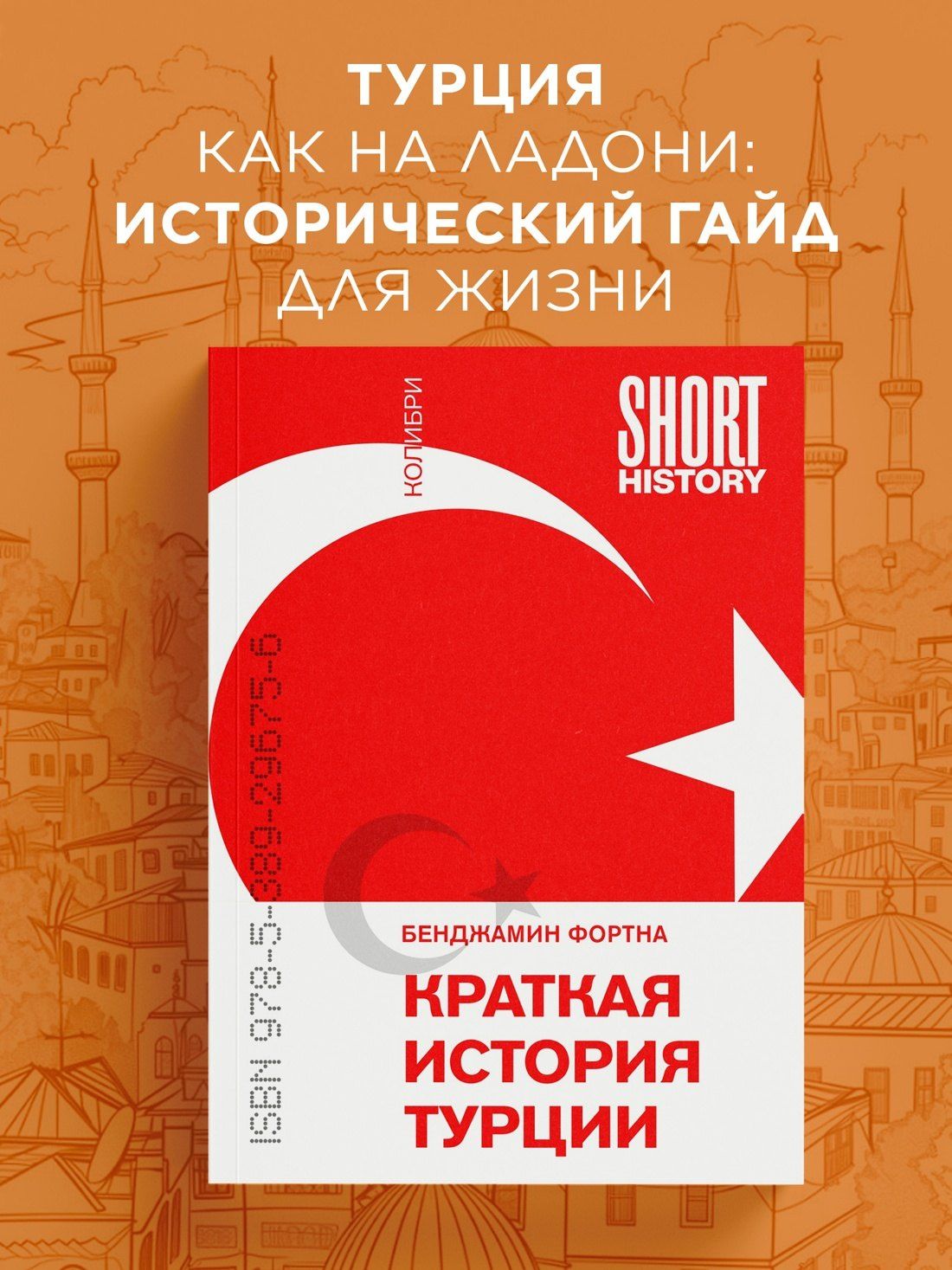 Бенджамин Фортна: Краткая история Турции