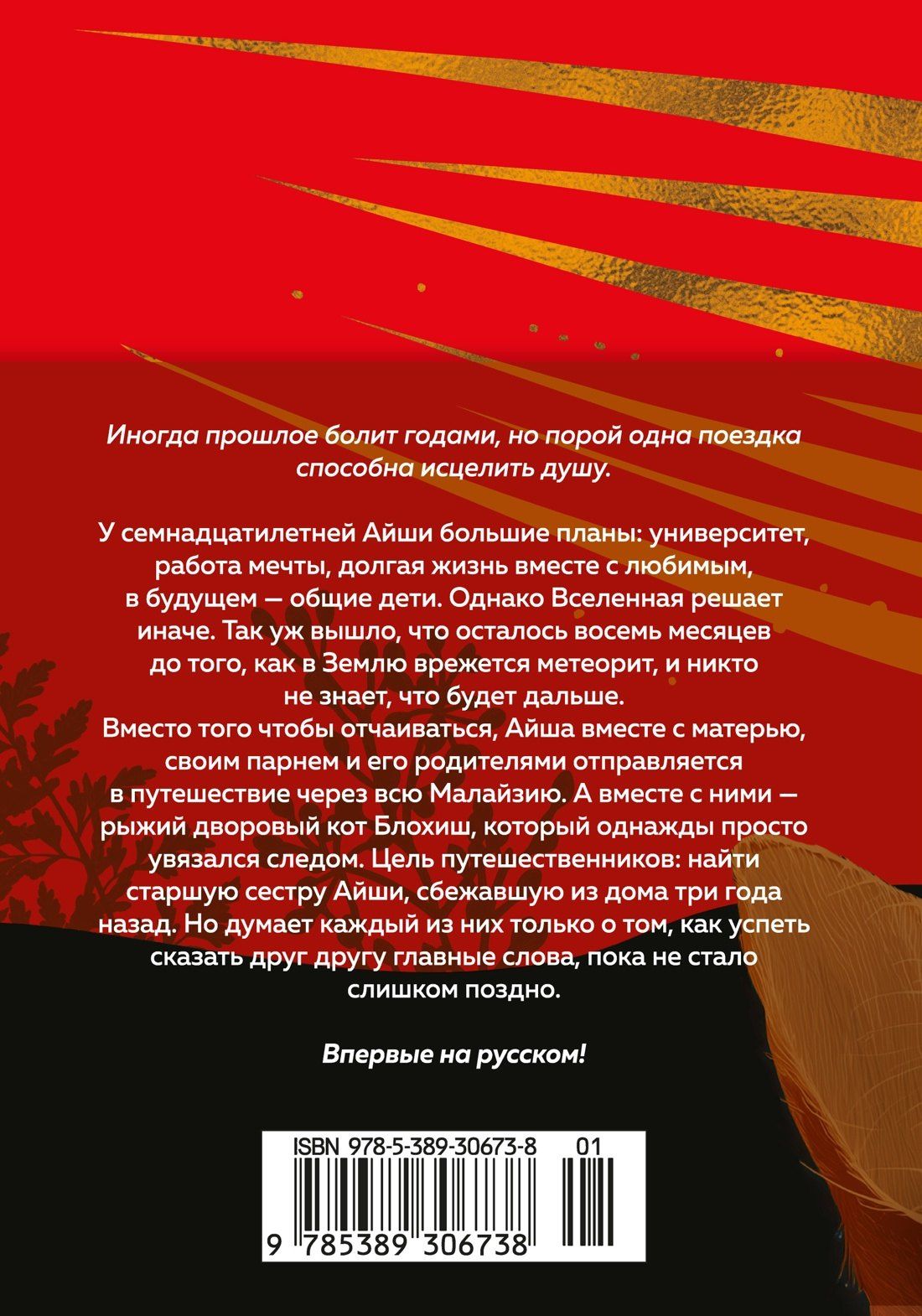 Микаил Надия: Выходя из дома, не забудьте кота
