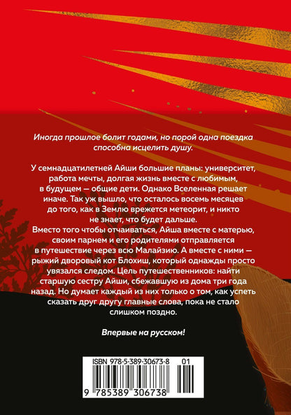 Микаил Надия: Выходя из дома, не забудьте кота