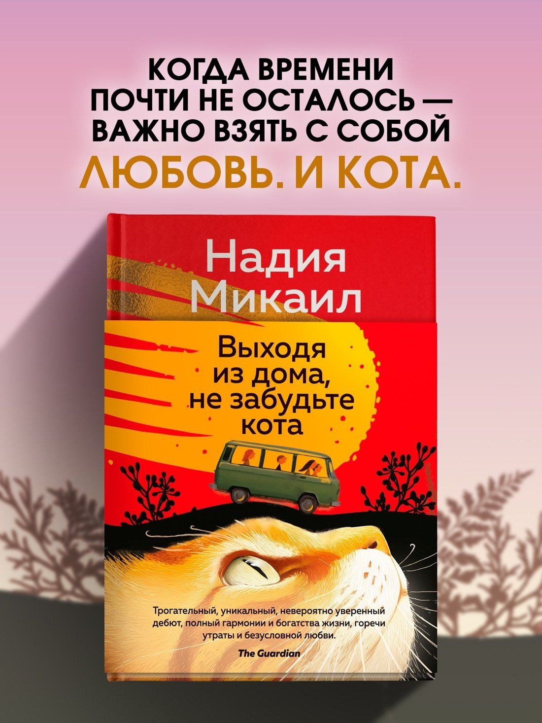 Микаил Надия: Выходя из дома, не забудьте кота