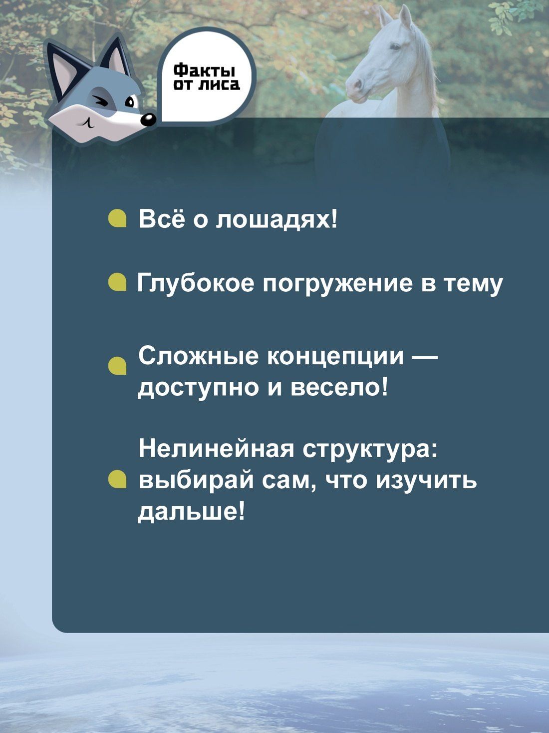 Гудрун Браун: Лошади