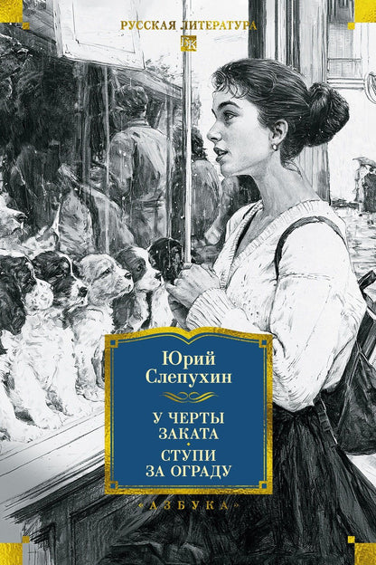 Юрий Слепухин: У черты заката. Ступи за ограду