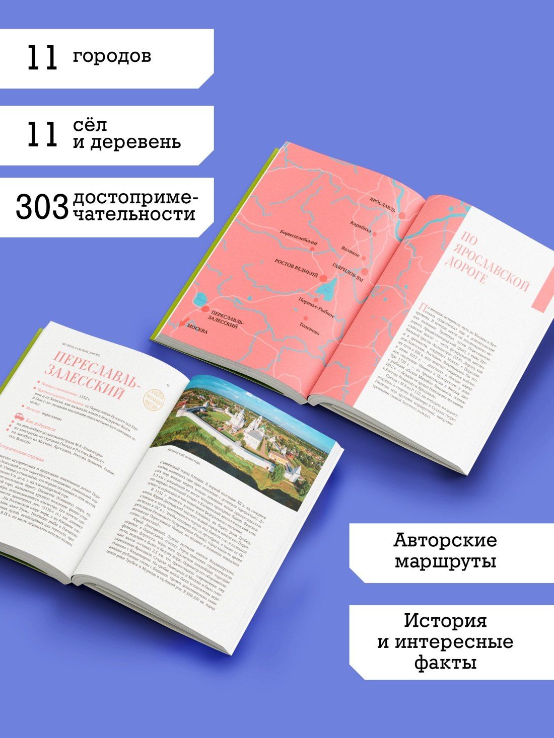Николай Рогинский: Ярославская земля