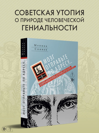 Моника Спивак: Мозг отправьте по адресу...