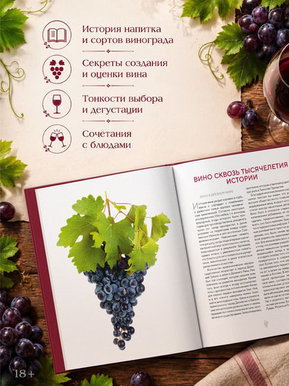 Якопо Коссатер: Магия вина. От солнечной грозди до вашего бокала