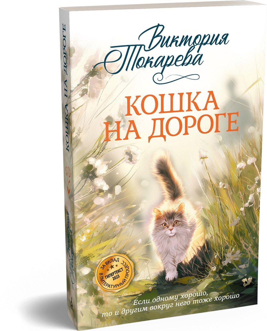 Виктория Токарева: Кошка на дороге