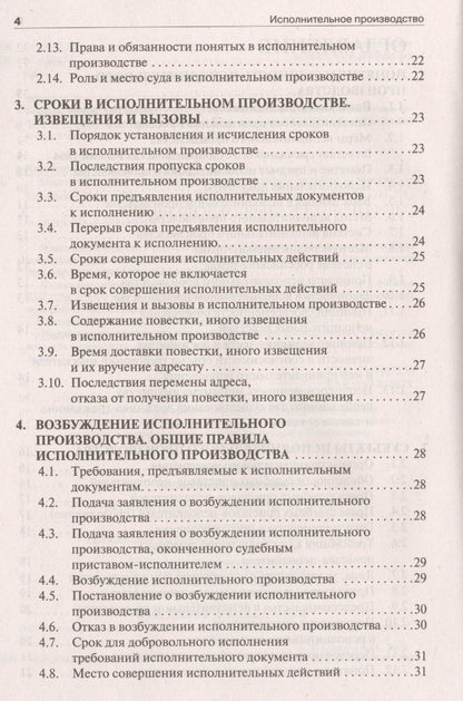 Виктор Корякин: Исполнительное производство в схемах: учебное пособие