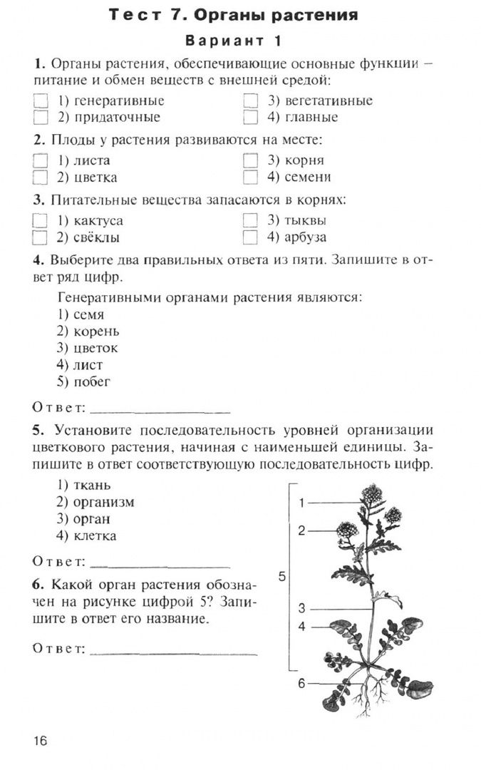 Биология. 6 класс. Контрольно-измерительные материалы. ФГОС