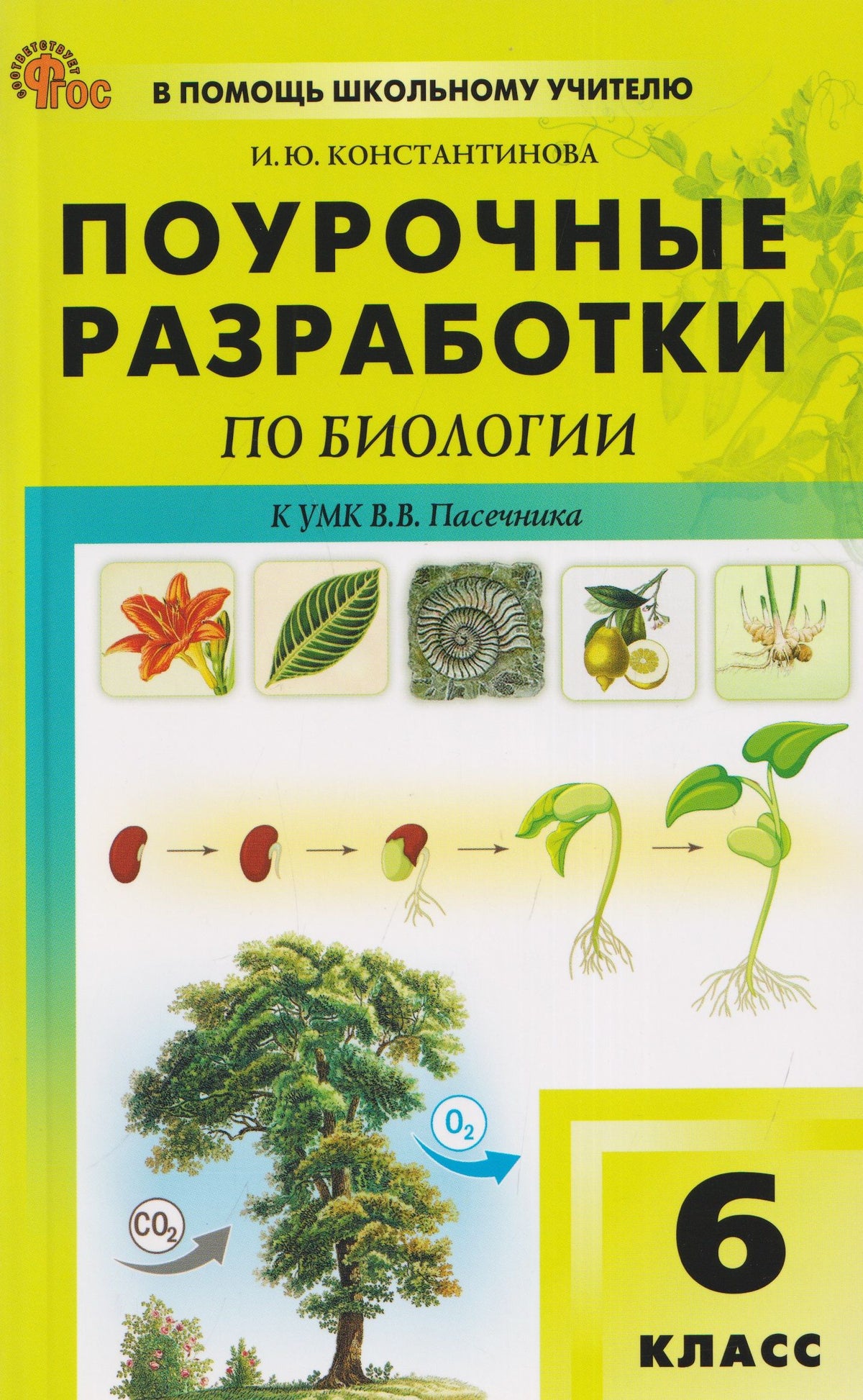 Ирина Константинова: Поурочные разработки по биологии. 6 класс. К УМК В.В. Пасечника. Пособие для учителя