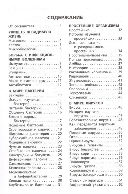 Бактерии, вирусы, простейшие. Начальная школа