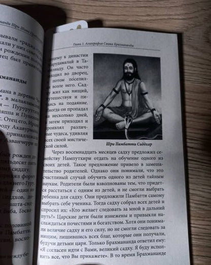Книга о великом сиддха-йогине Свами Брахмананда Шри Шива Прабхакара
