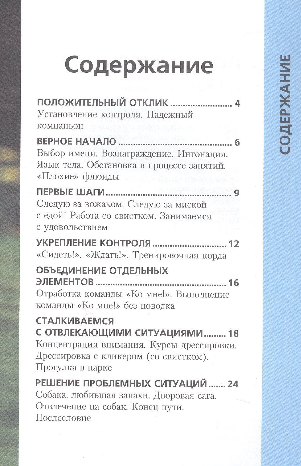 Эрика Пичи: Научите вашу собаку... Подходить по команде