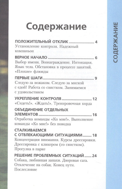 Эрика Пичи: Научите вашу собаку... Подходить по команде