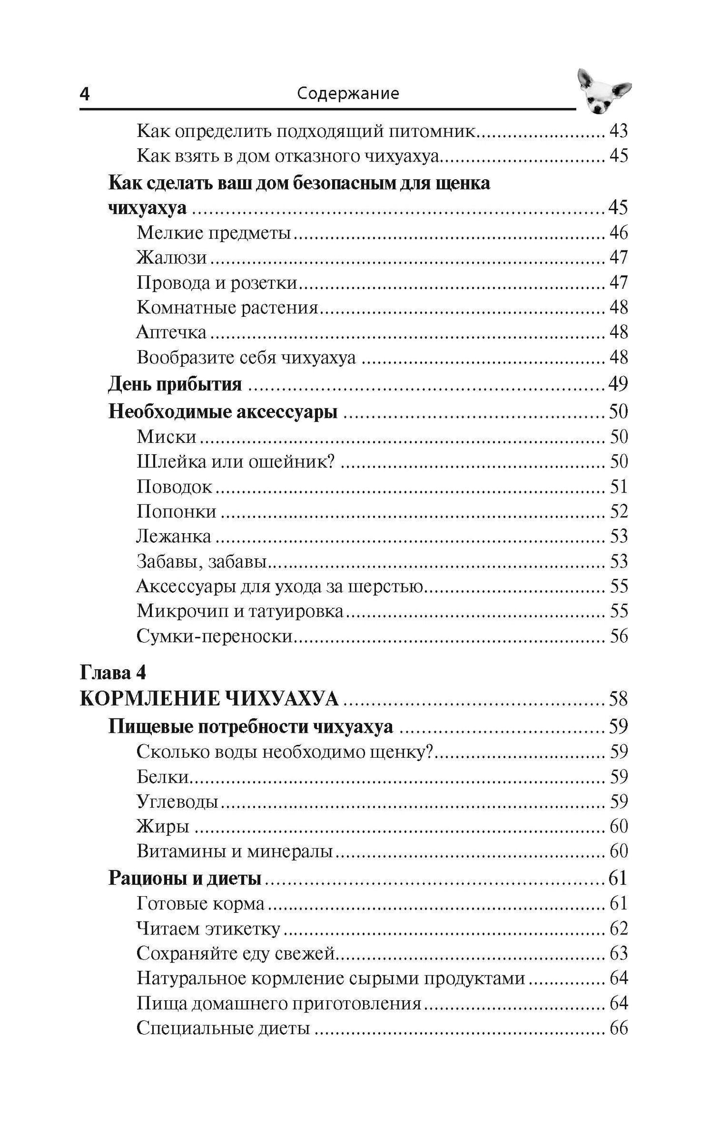 Тэмми Джэн: Чихуахуа. Любимцы на ладони