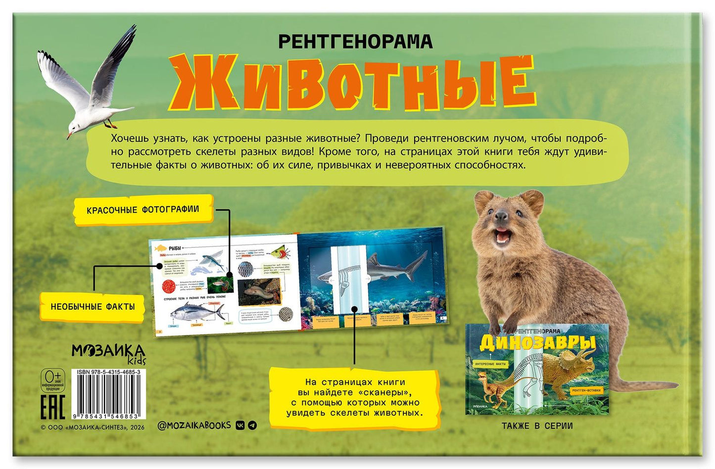 Животные. Рентгенорама