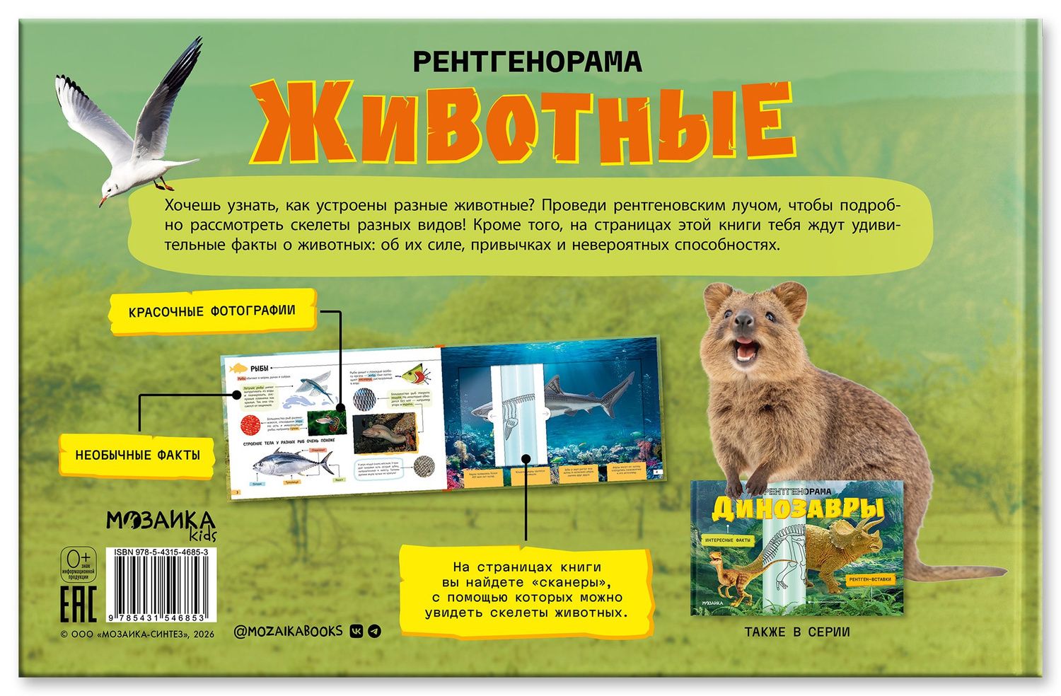 Животные. Рентгенорама