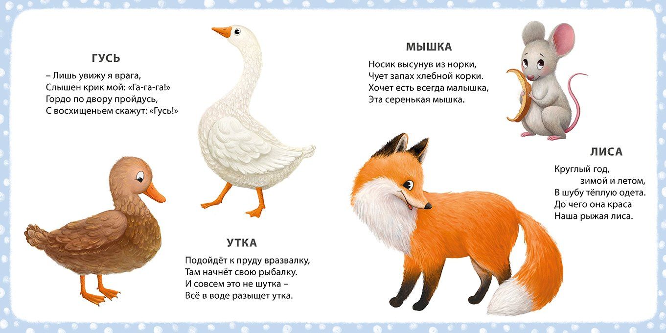 Евгений Сосновский: Животные. Мои первые картинки и стихи