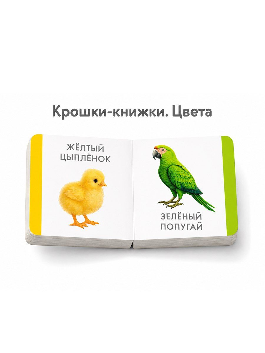 Елена Писарева: Крошки - книжки. Транспорт и цвета 2 в 1