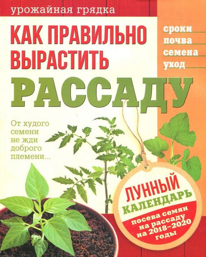 Урожайная грядка.Как правильно вырастить рассаду