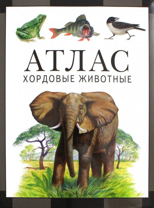 Виктор Дольник: Хордовые животные. Атлас