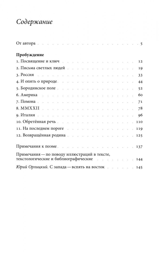 Игорь Вишневецкий: Пробуждение. Поэма