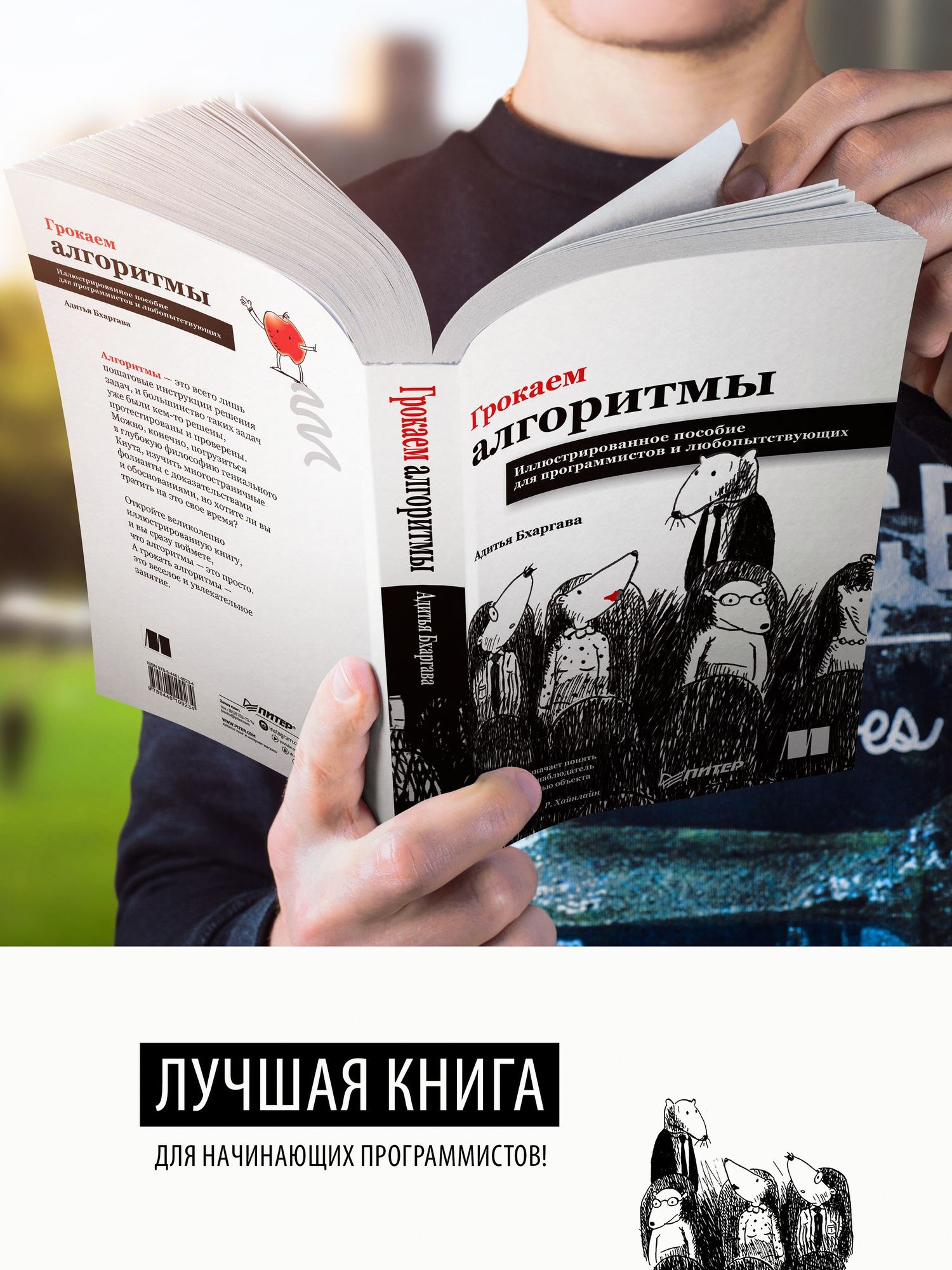 Адитья Бхаргава: Грокаем алгоритмы. Иллюстрированное пособие для программистов и любопытствующих