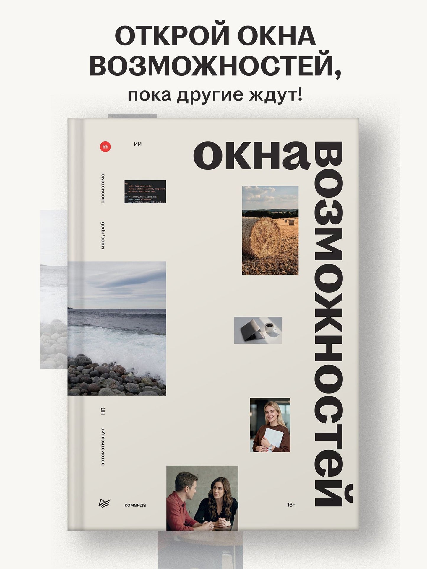 Нина Осовицкая: Окна возможностей