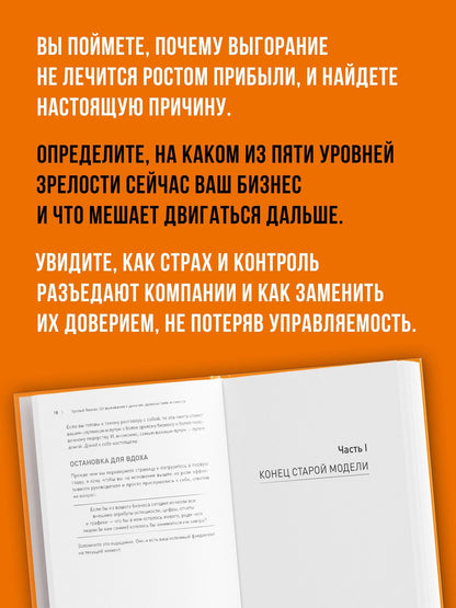 Иван Фирсов: Зрелый бизнес. От выживания к деньгам, удовольствию и смыслу