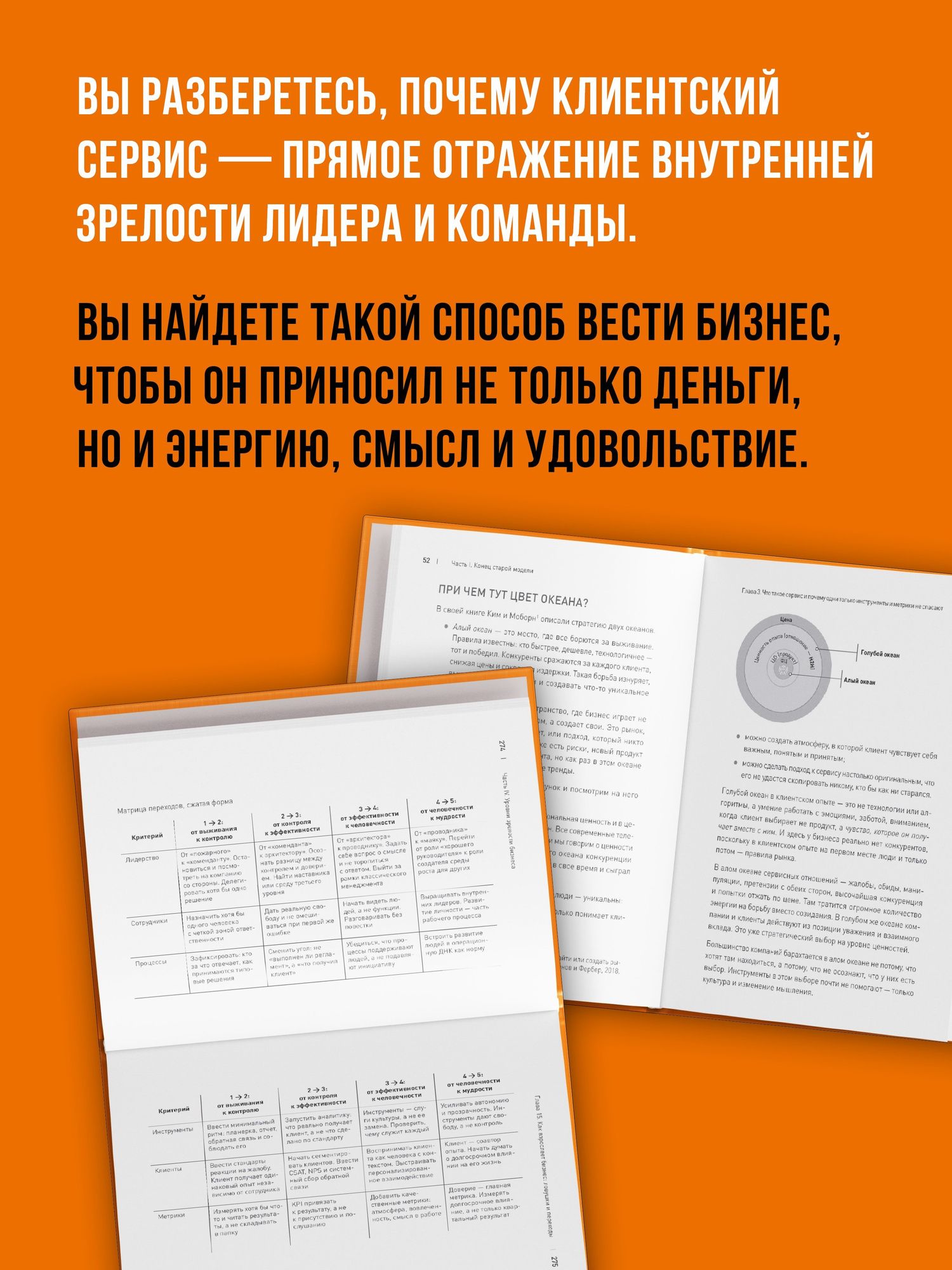 Иван Фирсов: Зрелый бизнес. От выживания к деньгам, удовольствию и смыслу